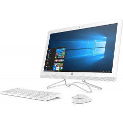 HP 24" Core i3 7th Gen Windows 10 Pro AIO PC - 2481TB-T